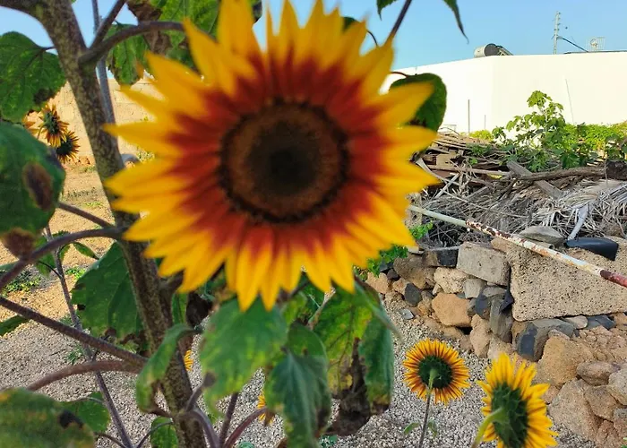 Lagar De Abuelos Apartment San Miguel de Abona