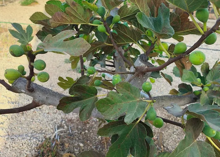 Apartment Lagar De Abuelos