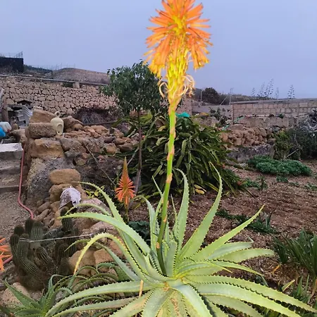 Lagar De Abuelos Appartamento *