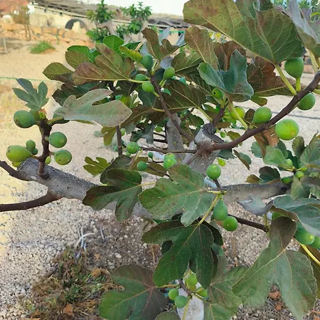 Apartamento Lagar De Abuelos