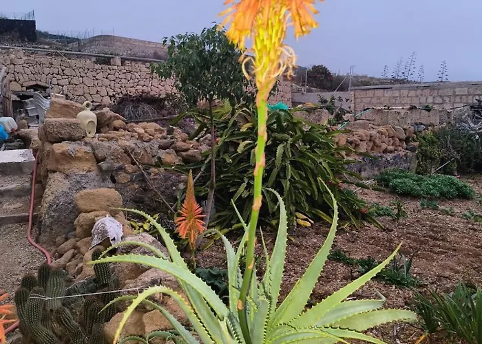 Lagar De Abuelos Apartament *